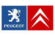  Peugeot-Citroen   13,6%